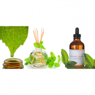 Aroma mentol 10ml